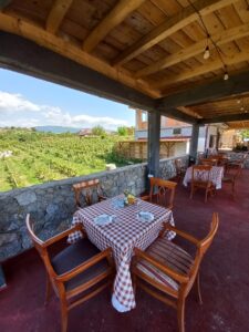 Wine tasting ohrid