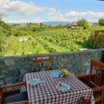 Wine tasting ohrid