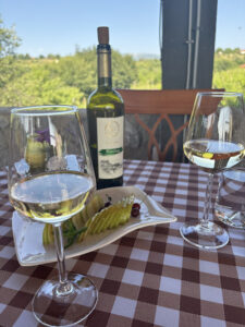 wine tasting ohrid