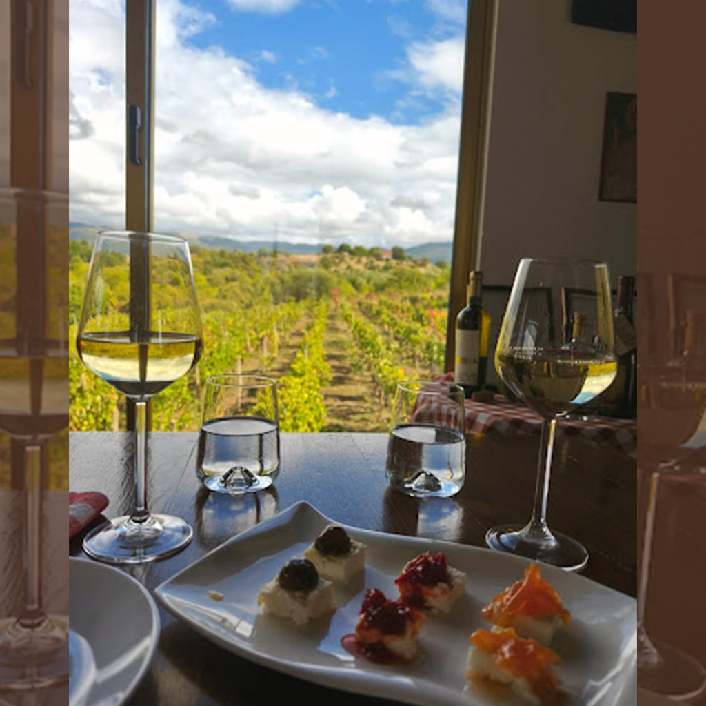 wine tasting ohrid