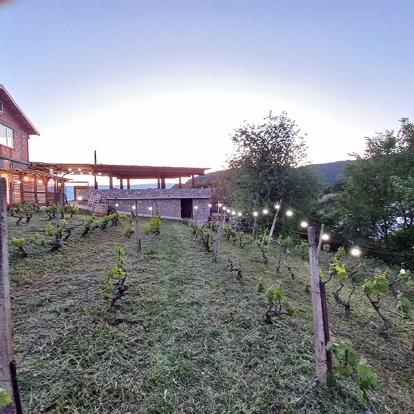 winery ohrid