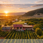 winery ohrid