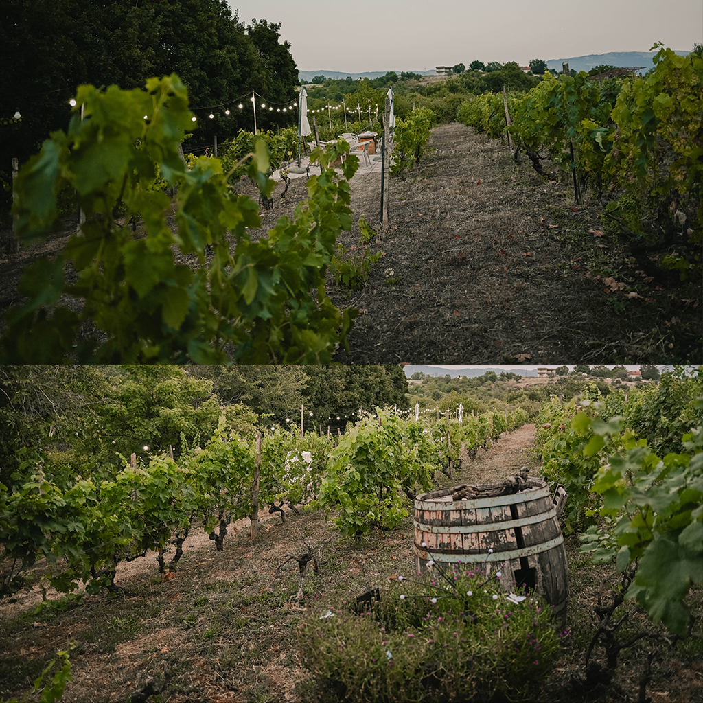 winery ohrid
