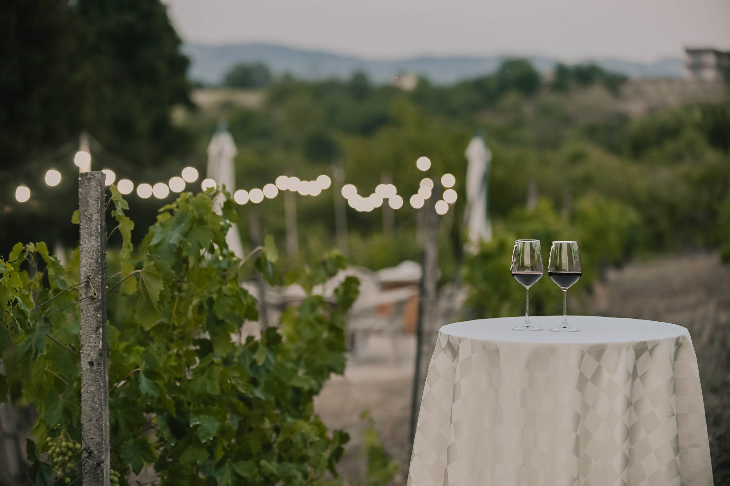 winery ohrid