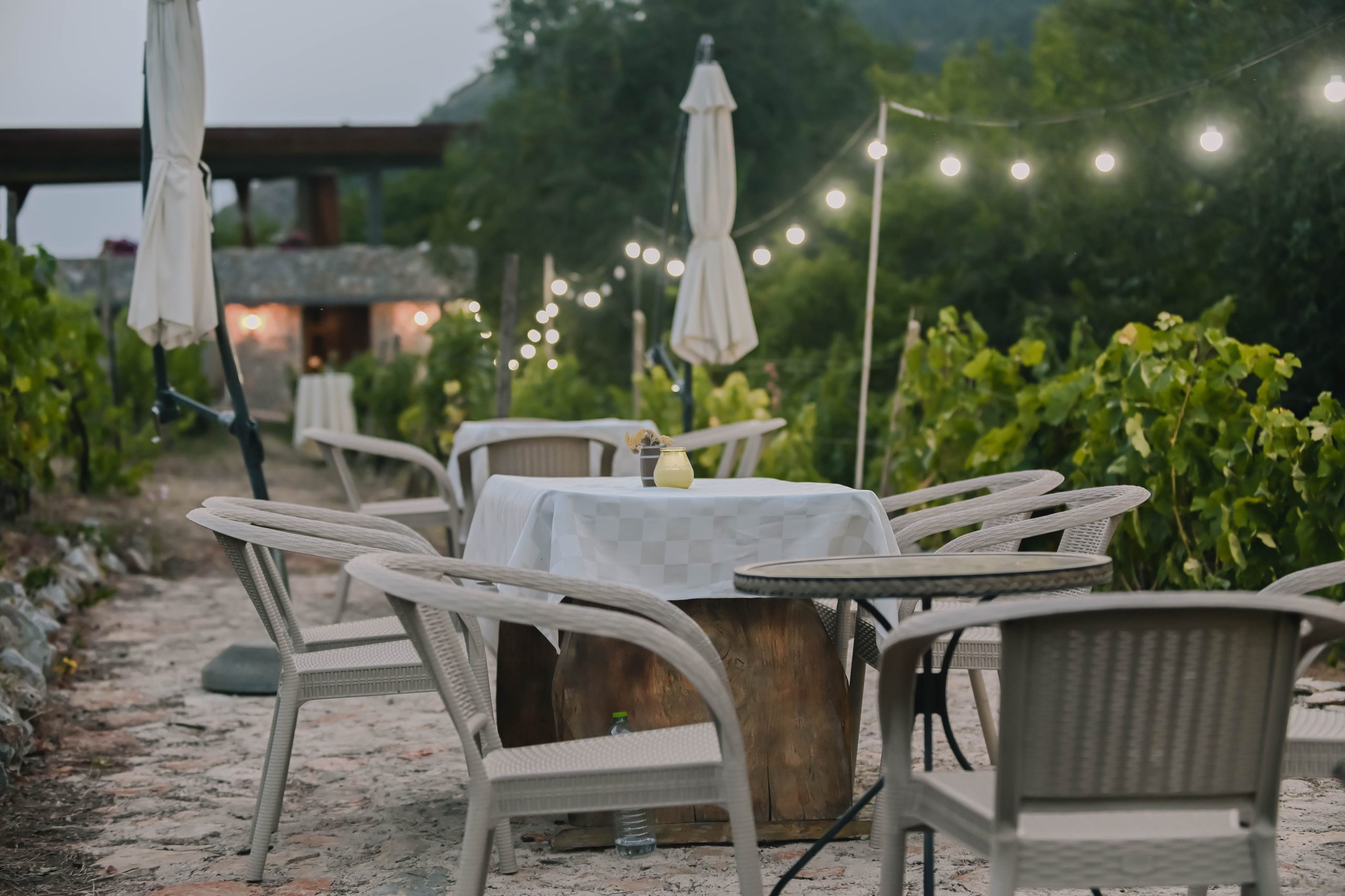 winery ohrid
